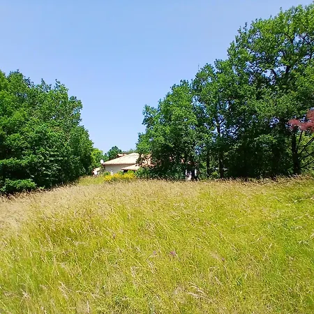 Le Sabatou - La Grange De Cezac *